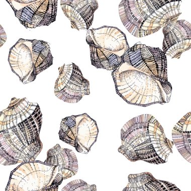 Kabuk desenler arka plan