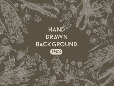 Arka plan buğday ve darı