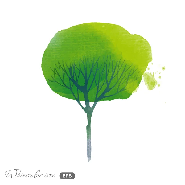 Aquarel zomer boom — Stockvector