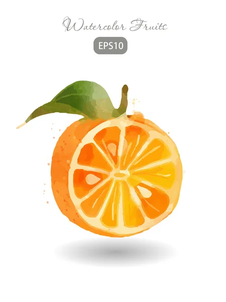 Acuarela naranja fresca — Vector de stock