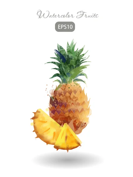 Aquarell frische Ananas — Stockvektor