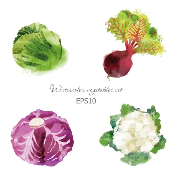 Conjunto de legumes aquarela —  Vetores de Stock