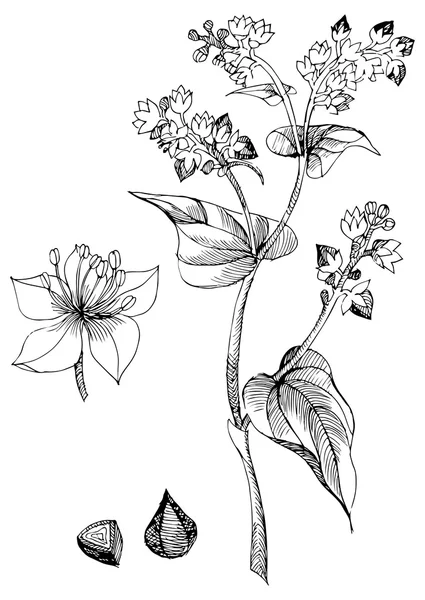 Buğday ile Vintage desen