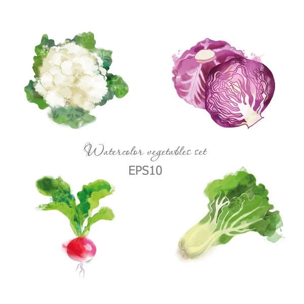 Conjunto de legumes aquarela —  Vetores de Stock