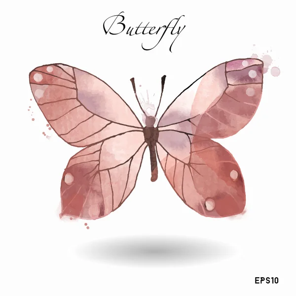 Watercolor butterfly on white — Stock Vector