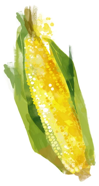 孤立的水彩画玉米 — 图库矢量图片