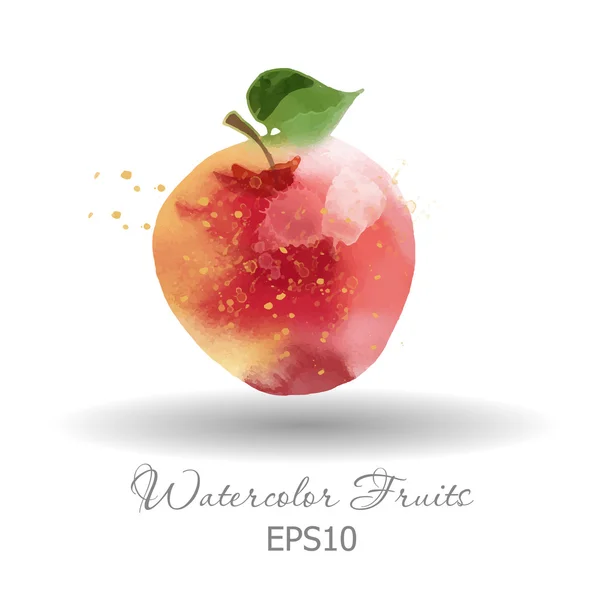 Beyaz üzerine suluboya elma — Stok Vektör