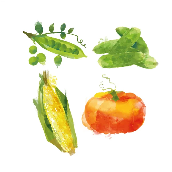 Akvarell grönsaker set — Stock vektor