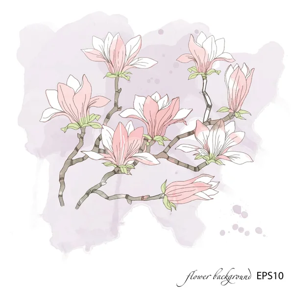 Magnolia patrón de flores . — Vector de stock