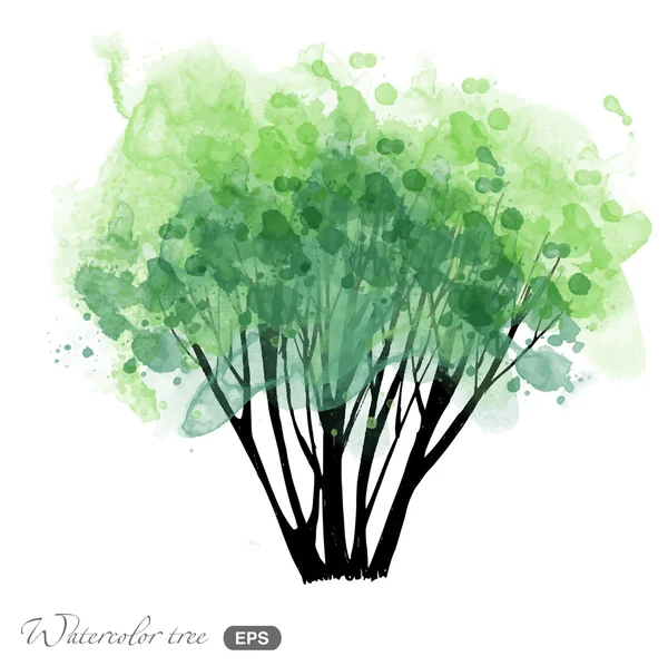 Aquarelle arbre d'été — Image vectorielle
