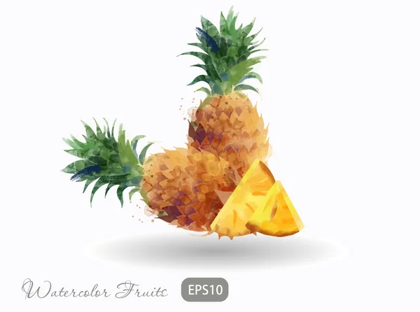Акварель свежие ананасы — стоковый вектор