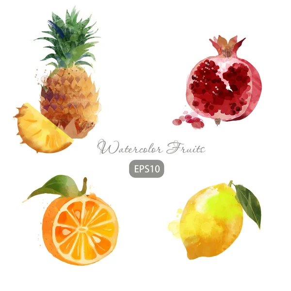 Conjunto de frutas aquarela — Vetor de Stock