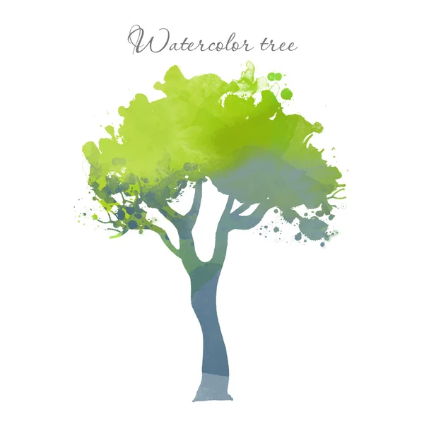 Aquarelle arbre d'été — Image vectorielle