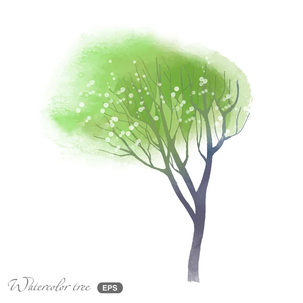 Aquarelle arbre de printemps — Image vectorielle