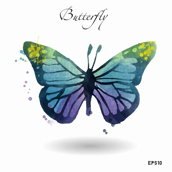 Watercolor butterfly on white — Stock Vector