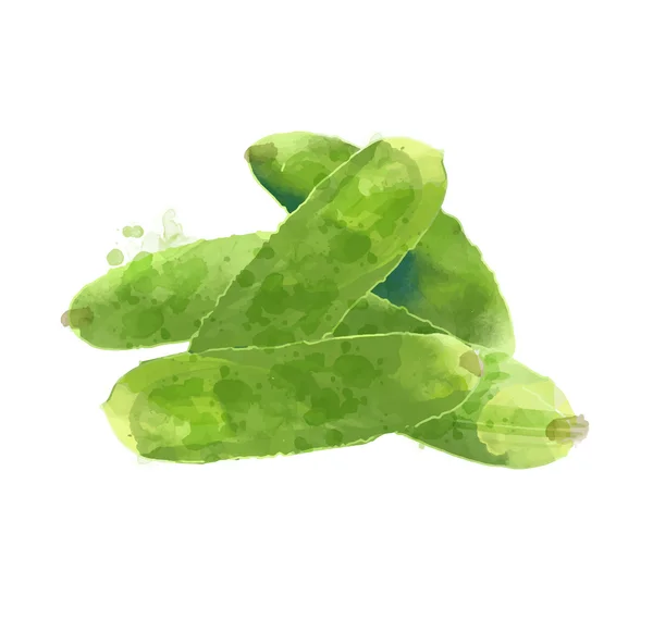 Pepino verde Watercolo — Vector de stock