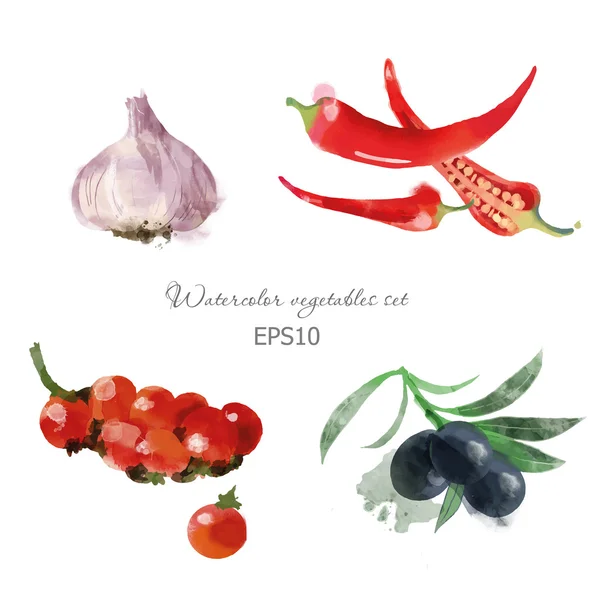 Conjunto de verduras acuarela — Vector de stock