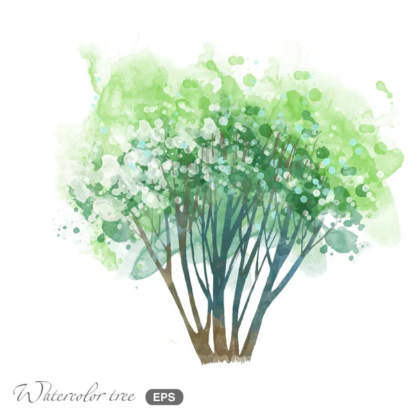 Aquarelle arbre de printemps — Image vectorielle