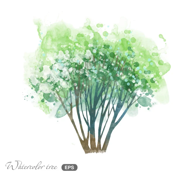 Acuarela árbol de primavera — Vector de stock