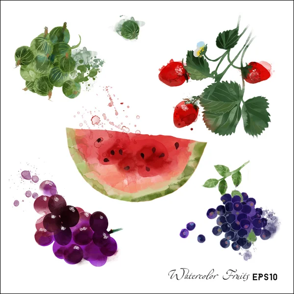 Set met watermeloen en bessen — Stockvector