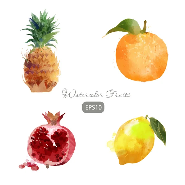 Conjunto de frutas acuarela — Vector de stock