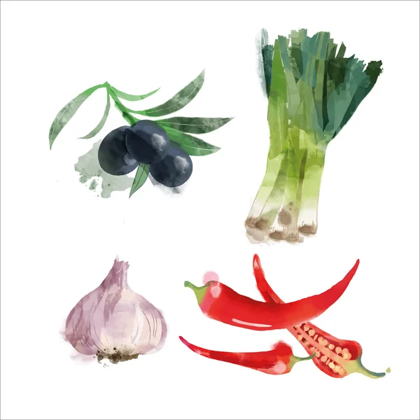 Conjunto de verduras acuarela — Vector de stock