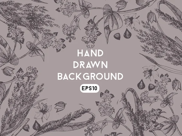 Arka plan buğday ve darı