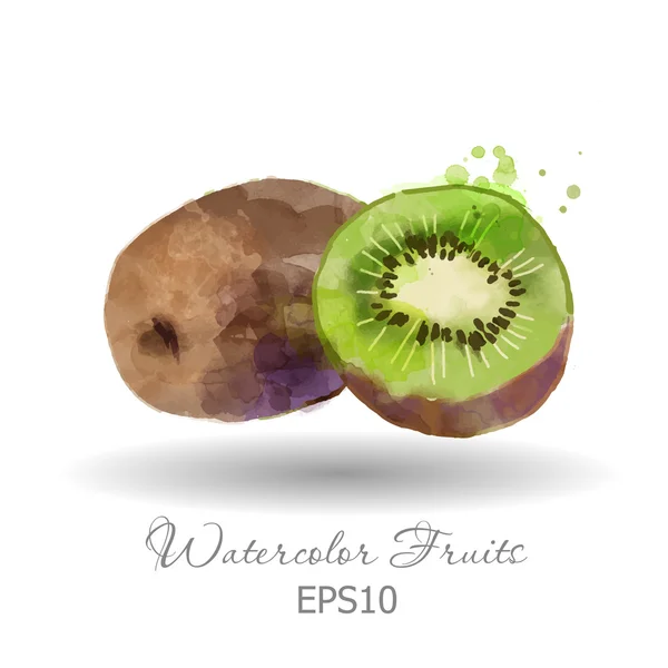 Frutos de kiwi aquarela —  Vetores de Stock