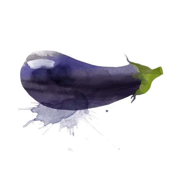 Aquarell Aubergine auf Weiß — Stockvektor