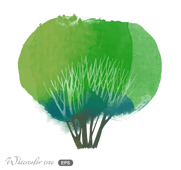 Aquarelle arbre d'été — Image vectorielle