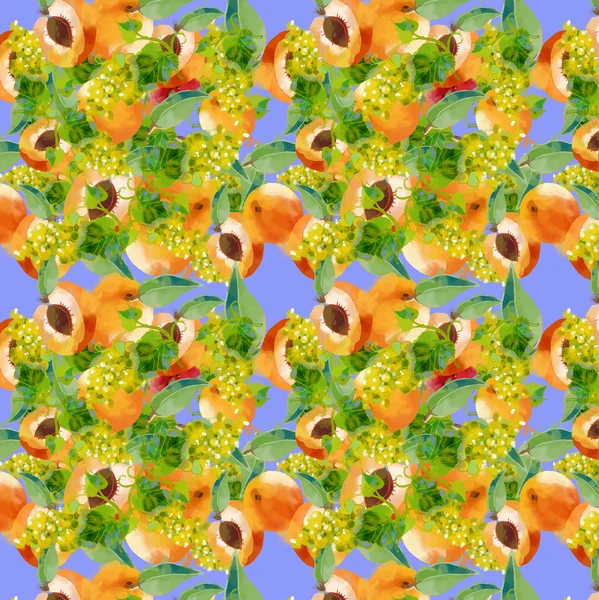 Vebilgisayar kayısı ve üzüm