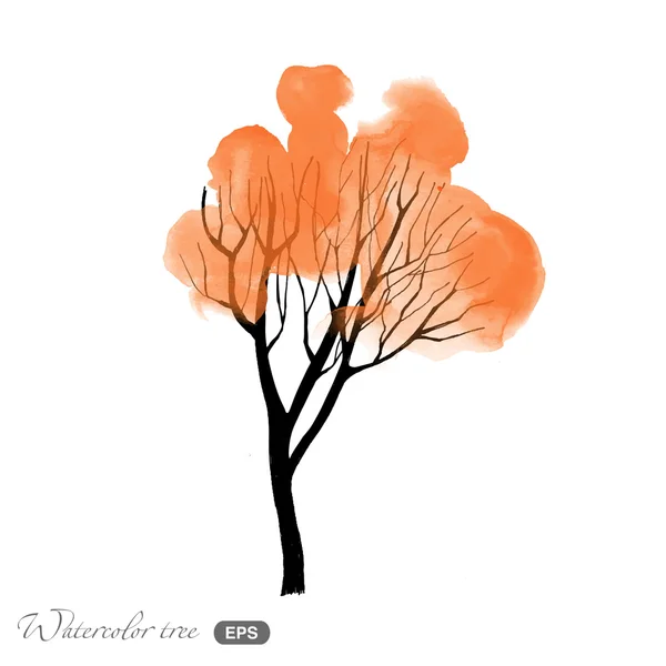 Aquarelle arbre d'automne — Image vectorielle
