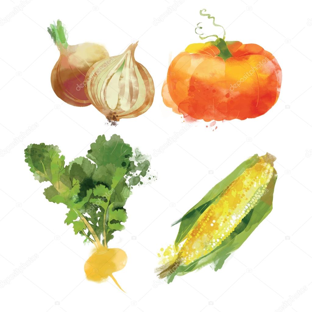 Watercolor vegetables set