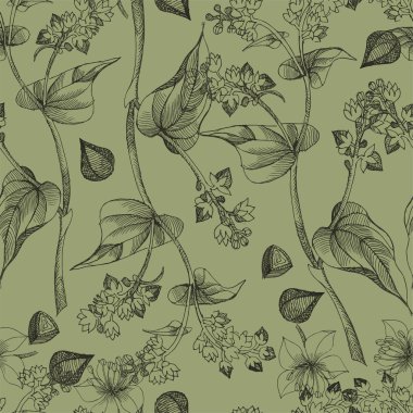 Karabuğday çizim desen