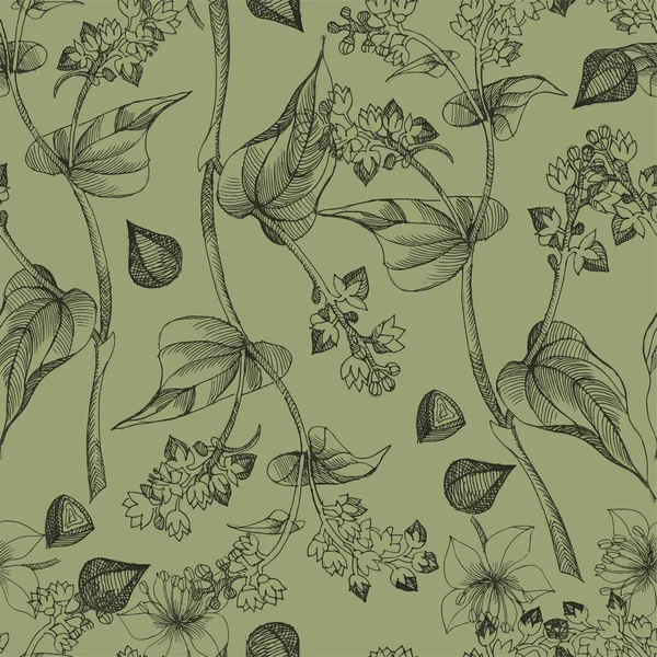 Karabuğday çizim desen