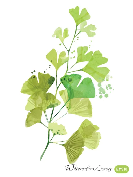 Akvarell zöld levelek — Stock Vector