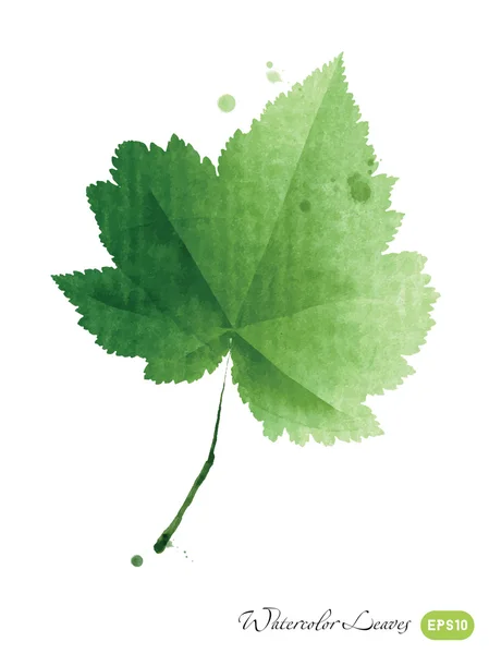 Aquarela folhas verdes — Vetor de Stock