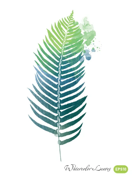 Acuarela hojas verdes — Vector de stock