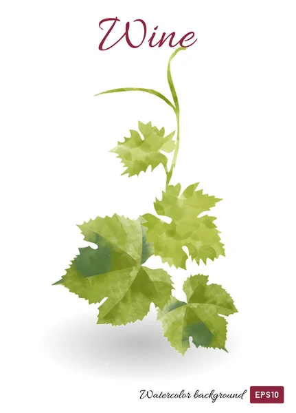 Sulu Boya asma yaprağı