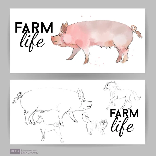 Porcins animaux de ferme — Image vectorielle