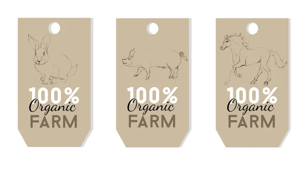 Pig, rabbit and horse label — Stock Vector