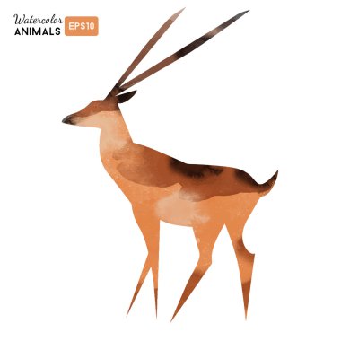 suluboya antilop hayvan