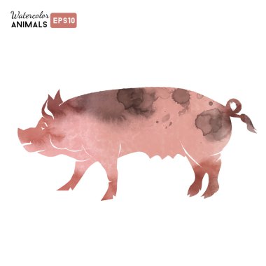 Download Watercolor Pig Free Vector Eps Cdr Ai Svg Vector Illustration Graphic Art