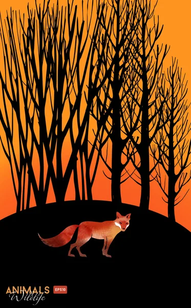 Aquarell Fuchs Tier im Wald bei Sonnenuntergang — Stockvektor