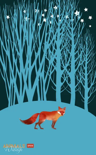 Renard aquarelle dans la forêt la nuit — Image vectorielle