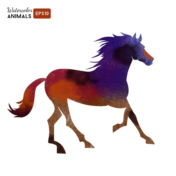 Acquerello cavallo animale — Vettoriale Stock