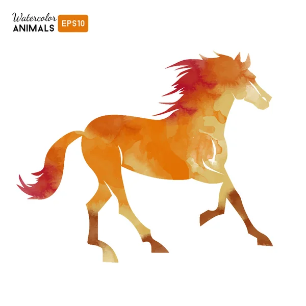 Acquerello cavallo animale — Vettoriale Stock