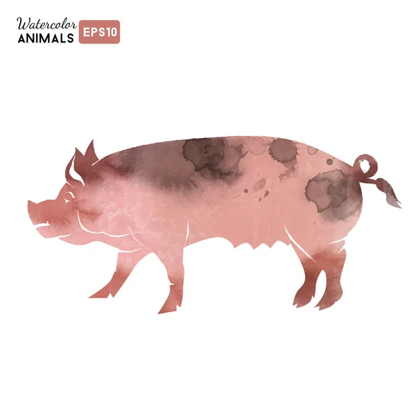 Acuarela cerdo animal — Vector de stock