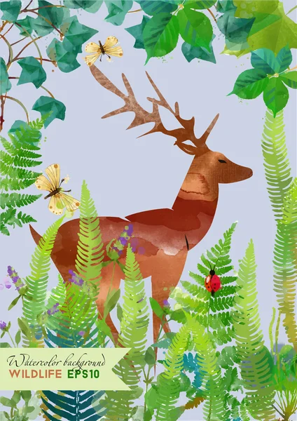 Cerfs aquarelle en forêt — Image vectorielle