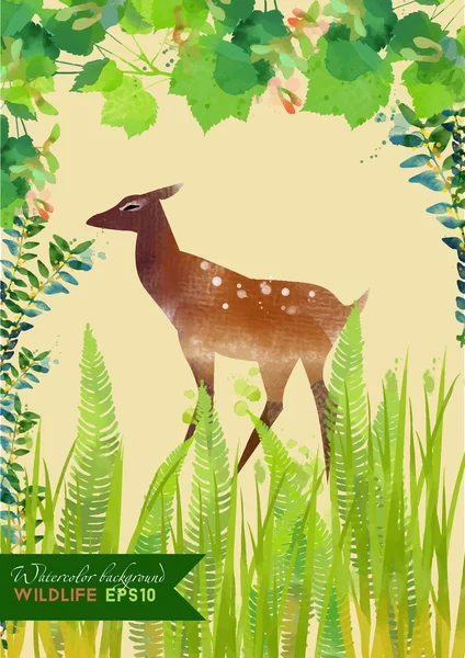 Cerfs aquarelle en forêt — Image vectorielle